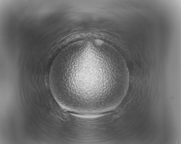 X0000067481490200604101215