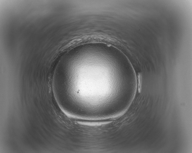 X0000067481491200604101215