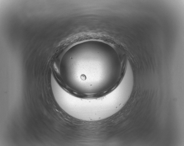 X0000067481492200604101215