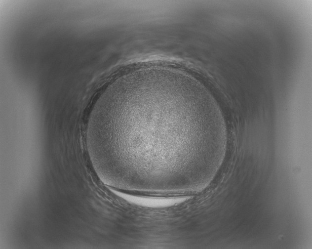 X0000067481493200604101215