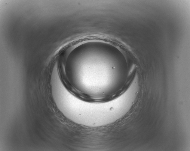 X0000067481496200604101215