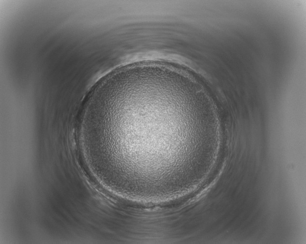 X0000067481497200604101215