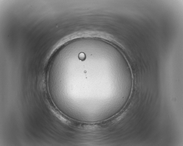 X0000067481498200604101215