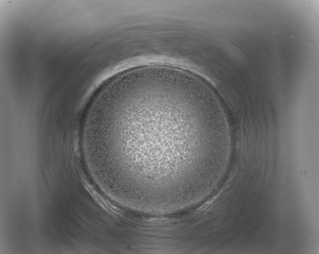 X0000067481499200604101215