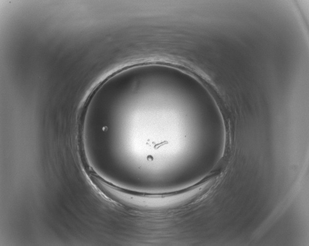 X0000067481500200604101216