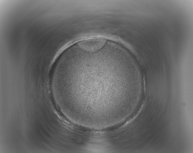 X0000067481501200604101216