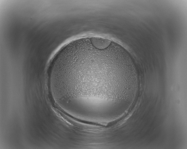 X0000067481502200604101216