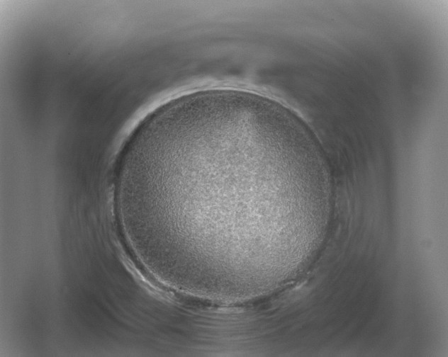 X0000067481503200604101216