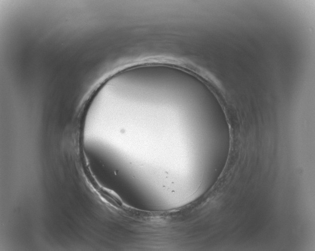 X0000067481504200604101216