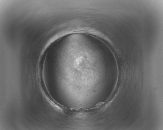 X0000067481506200604101216