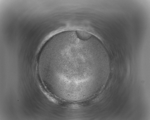 X0000067481507200604101216