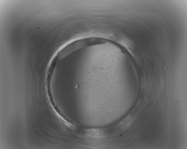 X0000067481508200604101216