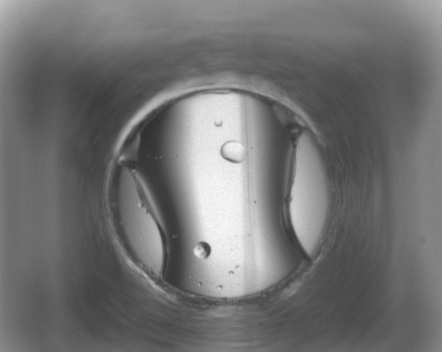 X0000067481510200604101216