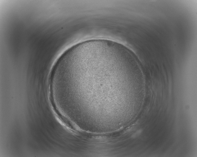 X0000067481511200604101216