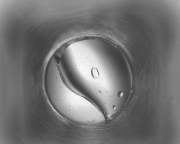 X0000067481512200604101216