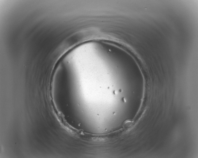 X0000067481513200604101216