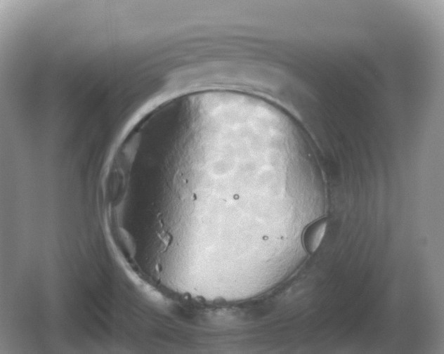 X0000067481515200604101216