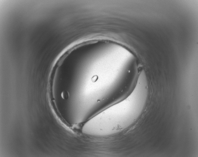 X0000067481518200604101216