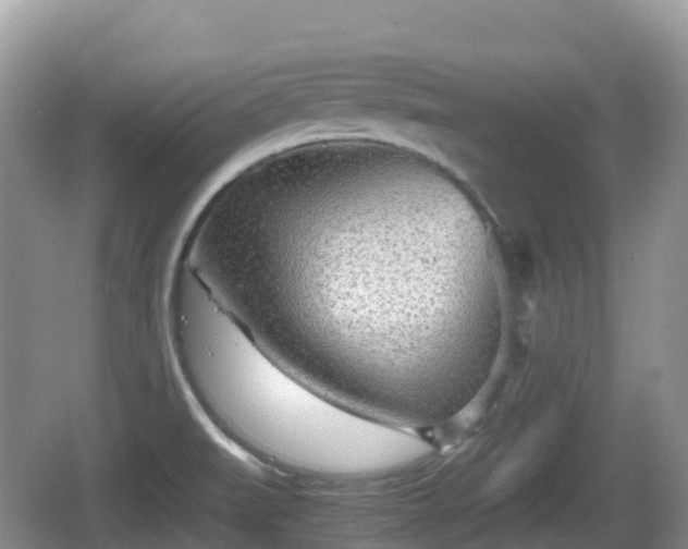 X0000067481519200604101216