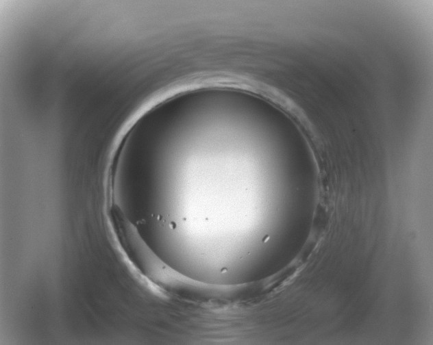 X0000067481520200604101216