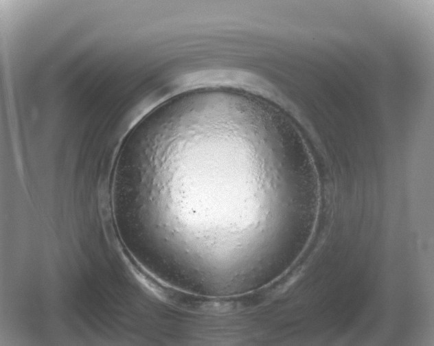 X0000067481521200604101216