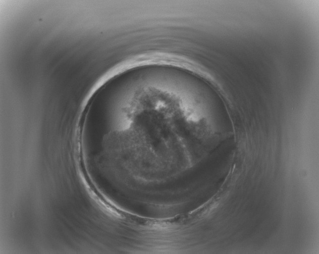 X0000067481522200604101216