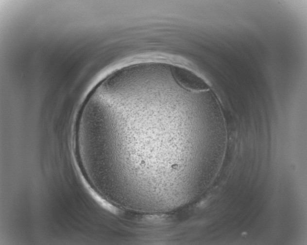 X0000067481523200604101216