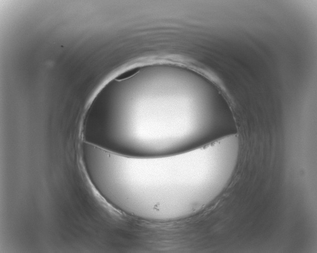 X0000067481524200604101216