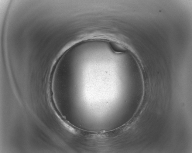 X0000067481525200604101216