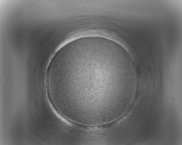 X0000067481526200604101216