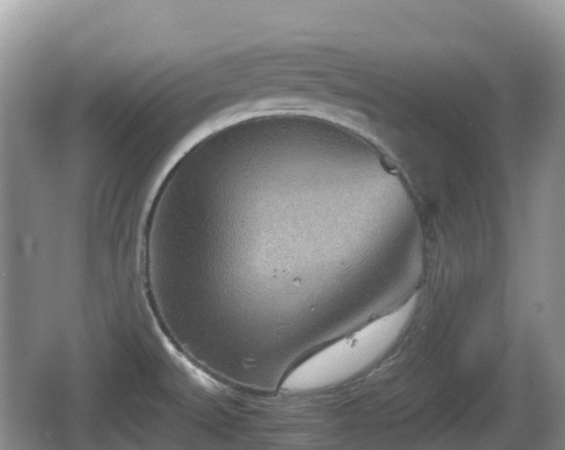 X0000067481527200604101216