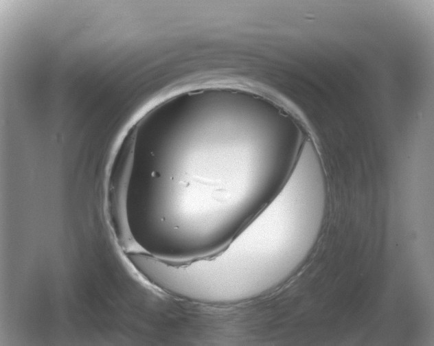 X0000067481528200604101216