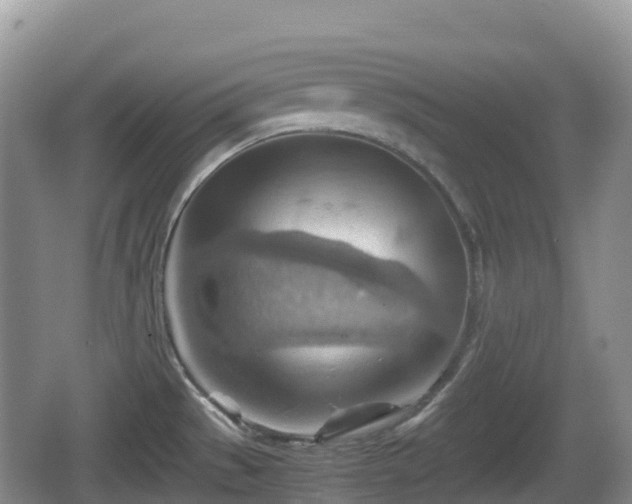 X0000067481529200604101216