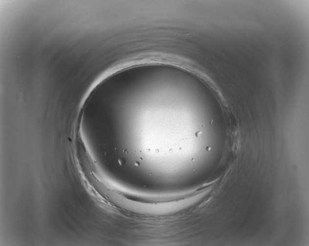 X0000067481530200604101216