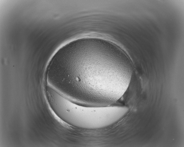 X0000067481531200604101216