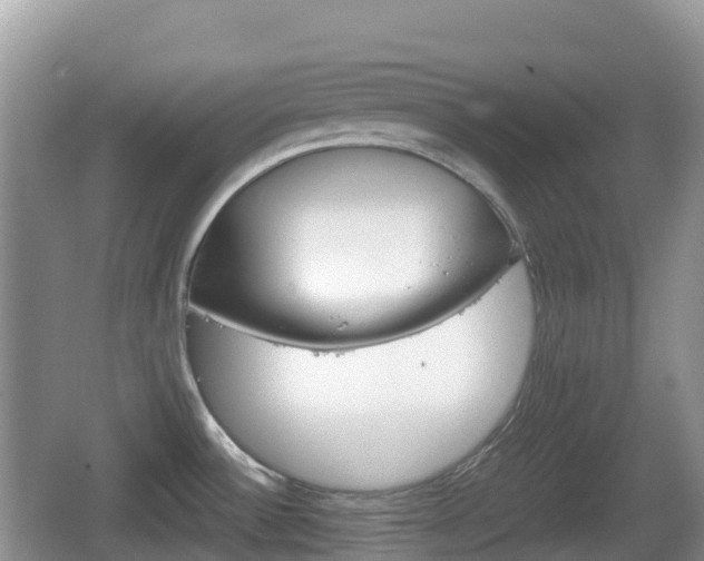 X0000067481532200604101216