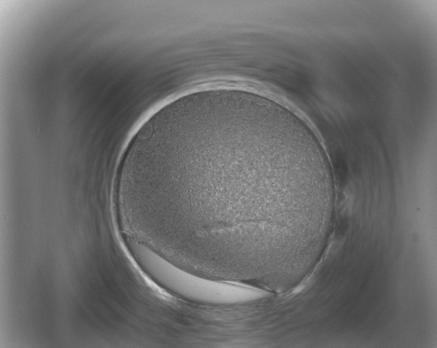 X0000067481533200604101216