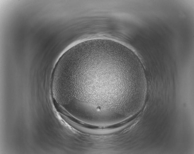 X0000067481534200604101216