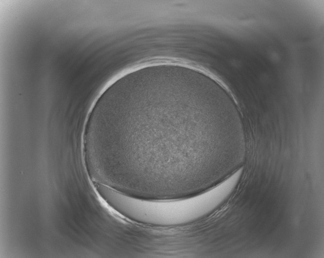 X0000067481535200604101216