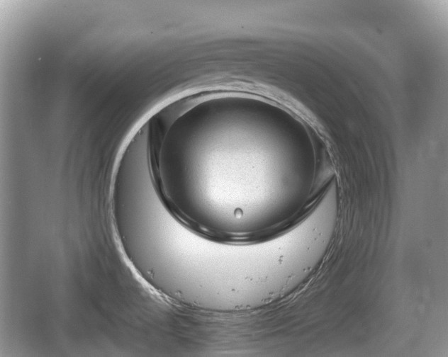 X0000067481536200604101216