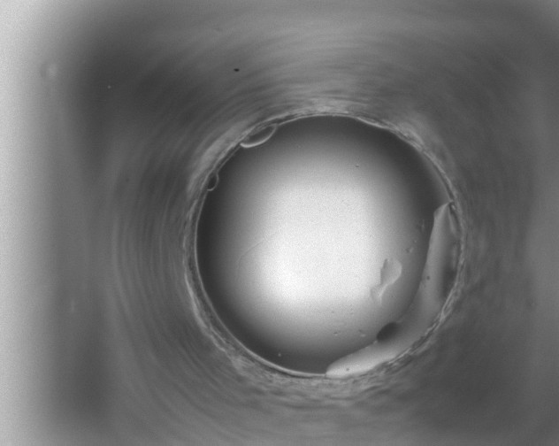 X0000067480001200604150028