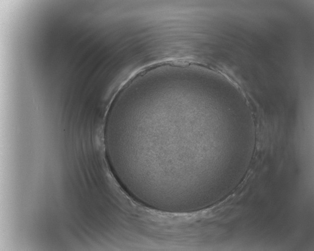 X0000067480002200604150028