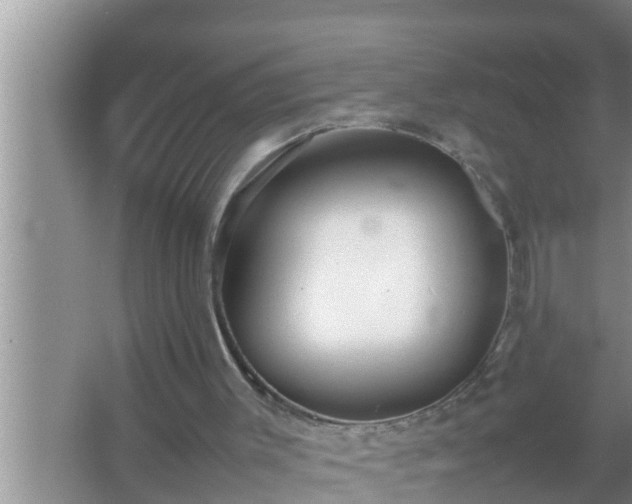 X0000067480003200604150028