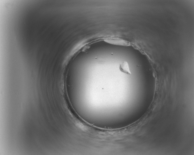 X0000067480005200604150028