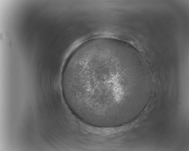 X0000067480006200604150028