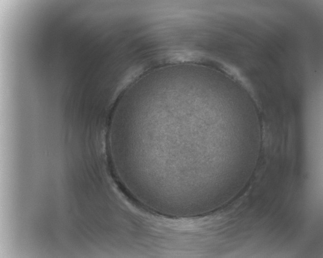 X0000067480010200604150028