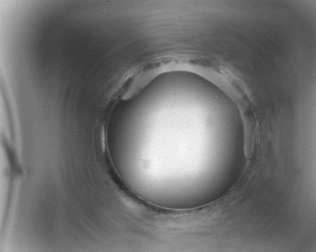 X0000067480013200604150028