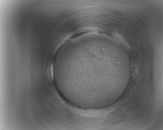 X0000067480014200604150028