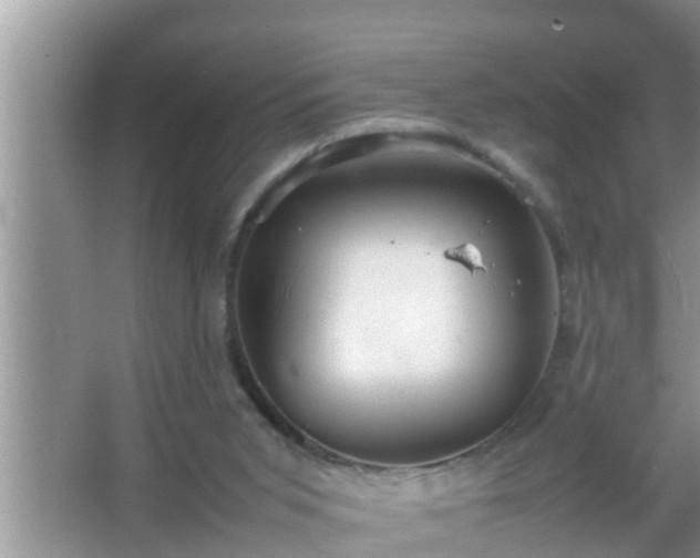 X0000067480015200604150028