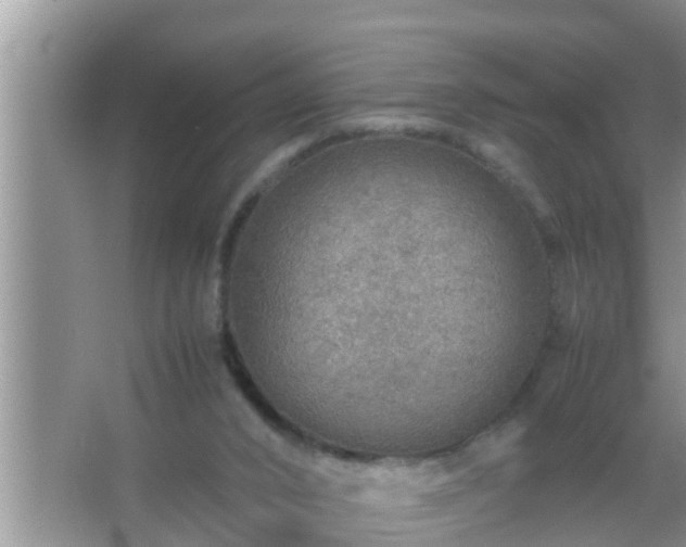 X0000067480016200604150028